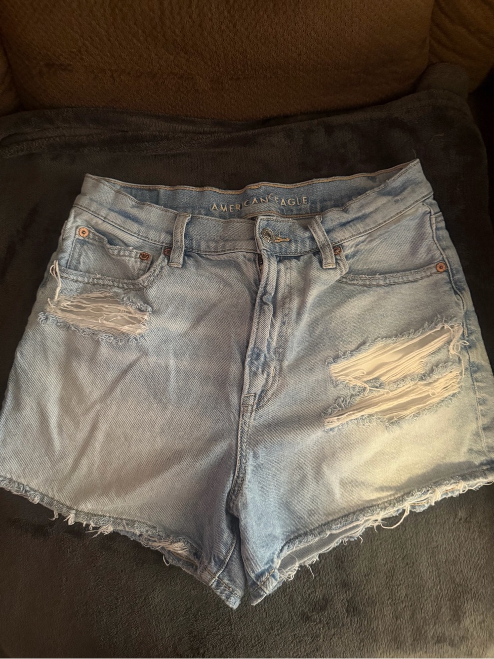 American Eagle Outfitters Light Blue Ripped Denim Shorts